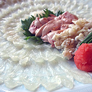 都城 日本料理・寿司・和食 魚幸 一品料理